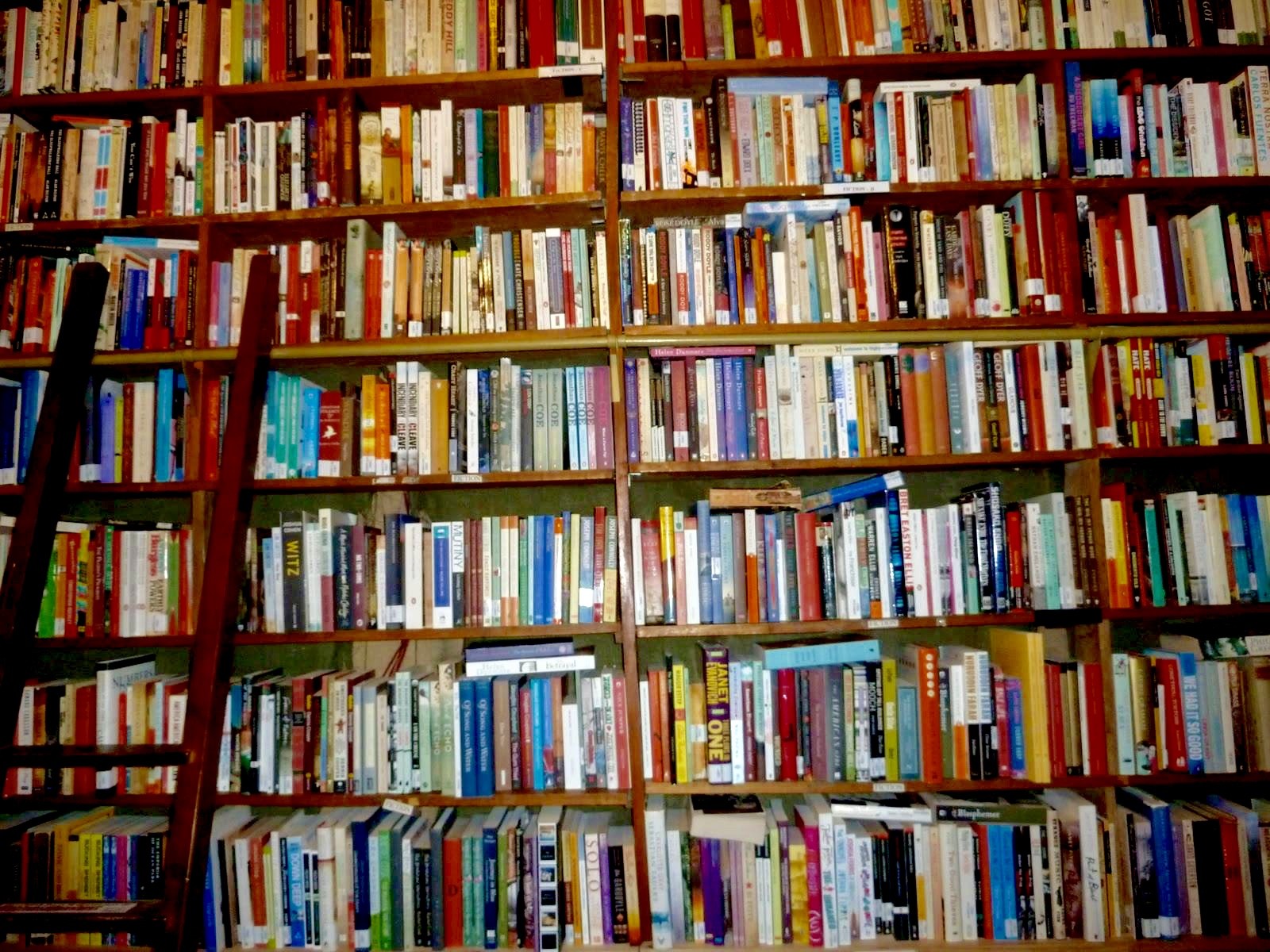 Paradise Bookshop